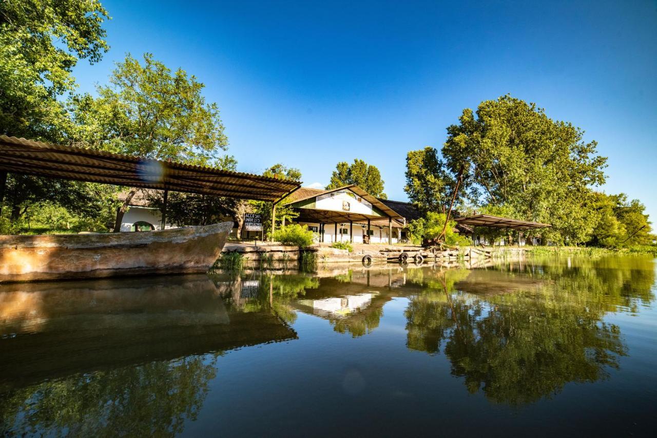 Zen Eco Villa Сфинту-Георге Екстер'єр фото